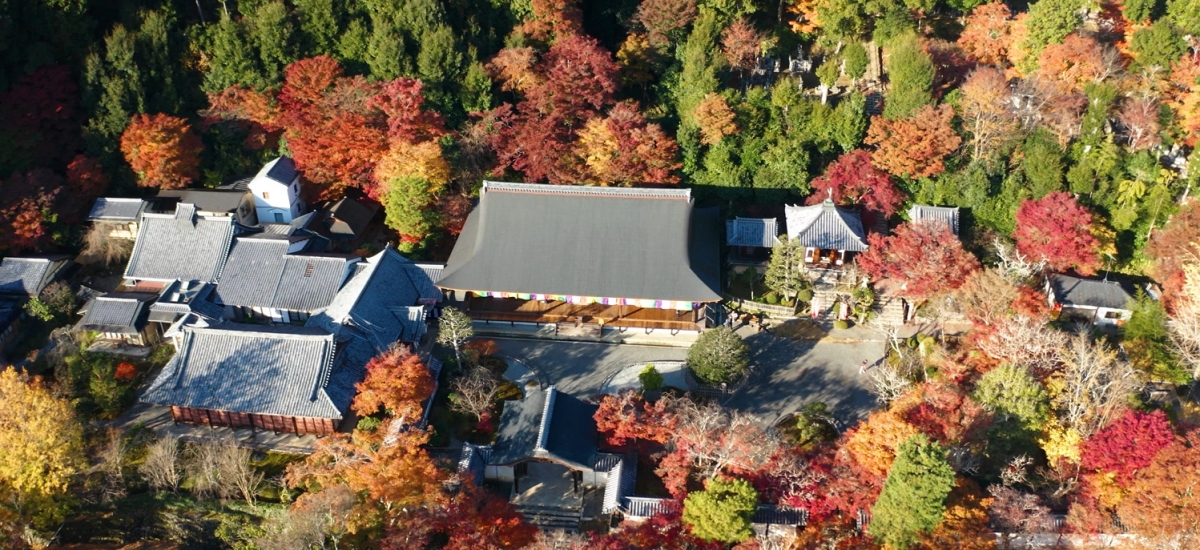 《嵯峨嵐山の自然を次世代に繋ぐプログラム》 小倉山の景観保全活動体験と二尊院ガイド付き特別拝観
